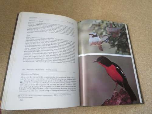 WHERE TO WATCH BIRDS IN SOUTH AFRICA  by A. Berruti  &  J.C. Sinclair