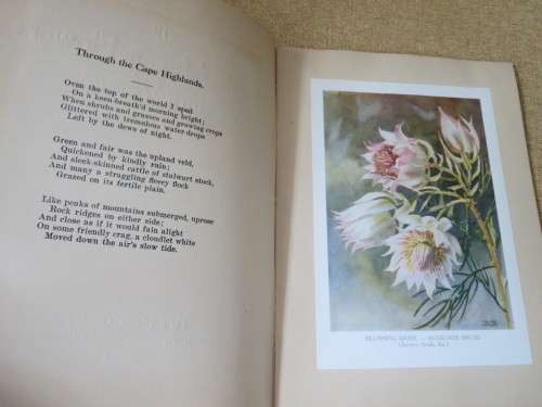 SIX SOUTH AFRICAN FLOWERS AND VERSE  Verses by: Kolbe, Tucker, Bromley and Cole
