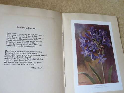 SIX SOUTH AFRICAN FLOWERS AND VERSE  Verses by: Kolbe, Tucker, Bromley and Cole