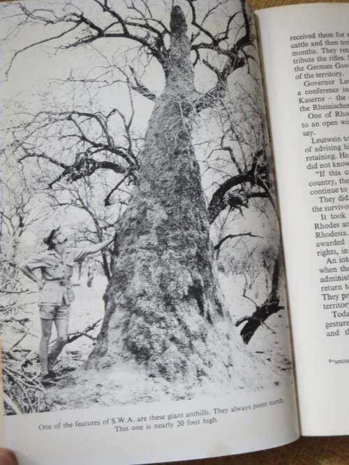 FRAGMENTS OF A DESERT LAND  by Con Weinberg