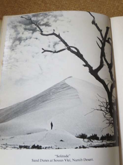 FRAGMENTS OF A DESERT LAND  by Con Weinberg