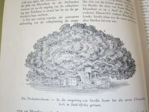 EEUFEES-GEDENKBOEK: N.G. GEMEENTE MOSSELBAAI  1845 - 1945  deur G. F. Steyn