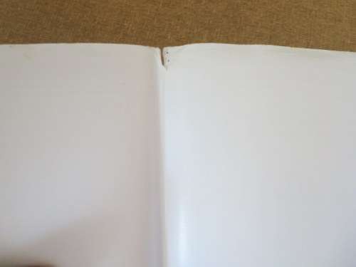 MOTHER TERESA  A LIfe in Pictures  by Roger Royle & Gary Woods