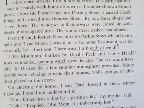 THE HOUSE IN TYNE STREET  Childhood Memories of District Six  by Linda Fortune
