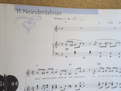 LAURIKA RAUCH  Treffers vir Klavier en Kitaar (GETEKEN)