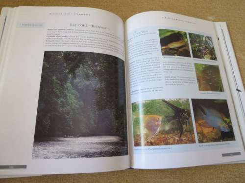AKWARIUM-VISSE  `n Handboek  deur Mary Bailey en Nick Dakin