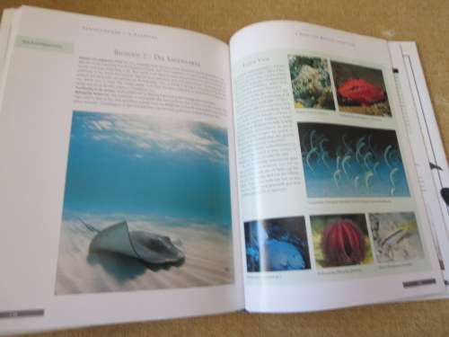 AKWARIUM-VISSE  `n Handboek  deur Mary Bailey en Nick Dakin