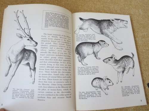 LANGEBAANWEG  A Record Of Past Life  by Q. B. Hendey  (Fossil Site)