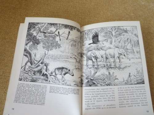 LANGEBAANWEG  A Record Of Past Life  by Q. B. Hendey  (Fossil Site)