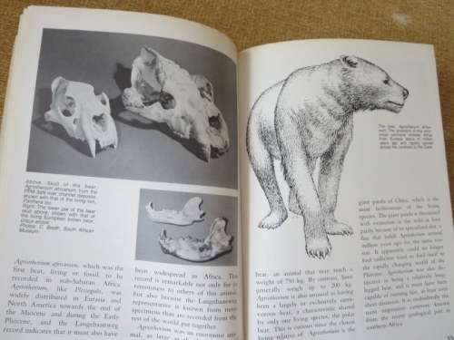 LANGEBAANWEG  A Record Of Past Life  by Q. B. Hendey  (Fossil Site)