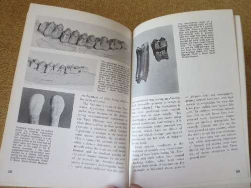 LANGEBAANWEG  A Record Of Past Life  by Q. B. Hendey  (Fossil Site)