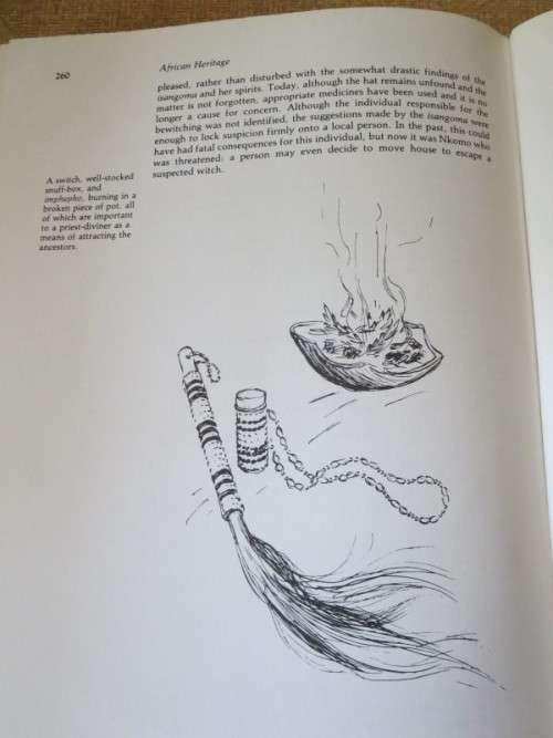 AFRICAN HERITAGE  by Barbara Tyrrell and peter Jurgens