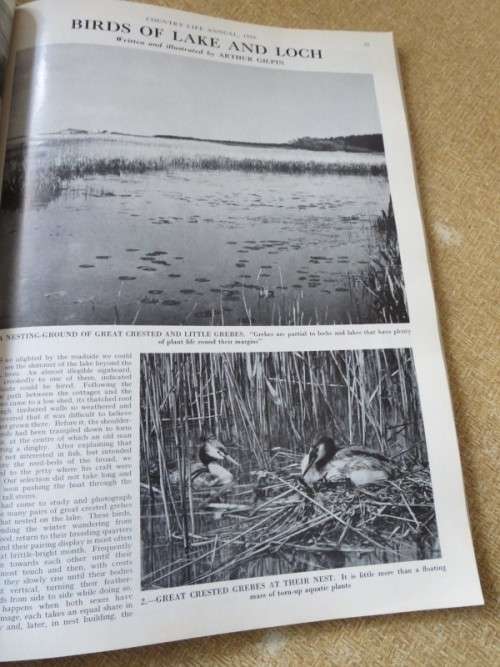 MAGAZINES: COUNTRY LIFE ANNUAL  1966