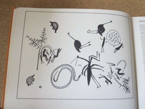 SPLINTERS FROM THE FIRE / ECLATS D`UN FEV  by Coral Fourie & Edouard J. Maunick