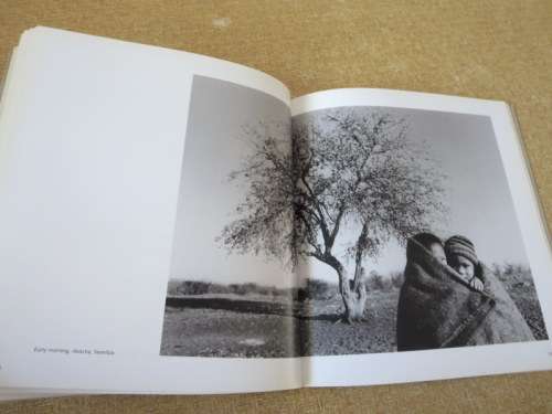 IN SEARCH OF THE SAN  by Paul Weinberg