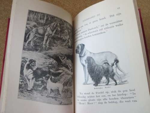 LEESBOEK VOOR ZUID-AFRIKA  STANDAARD III  door W. Fouche en W. J. Viljoen