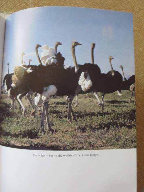 THE LITTLE KAROO  by Jose Burman