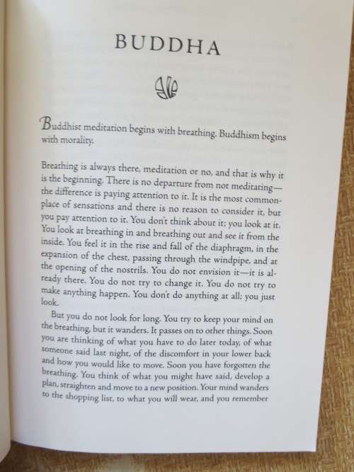 BUDDHA AND THE QUANTUM  by Samuel Avery  Hearing the Voice of Every Cell