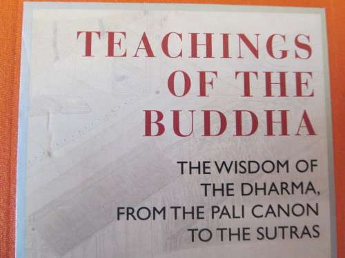 TEACHINGS OF THE BUDDHA  by Desmond Biddulph & Darcy Flynn
