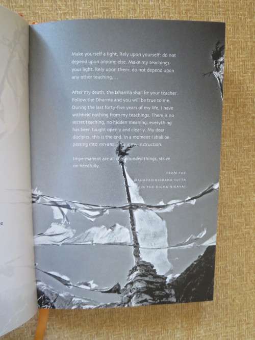 TEACHINGS OF THE BUDDHA  by Desmond Biddulph & Darcy Flynn