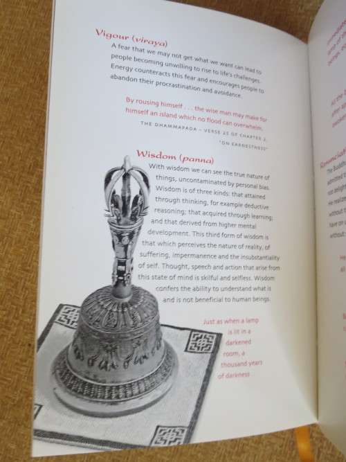 TEACHINGS OF THE BUDDHA  by Desmond Biddulph & Darcy Flynn