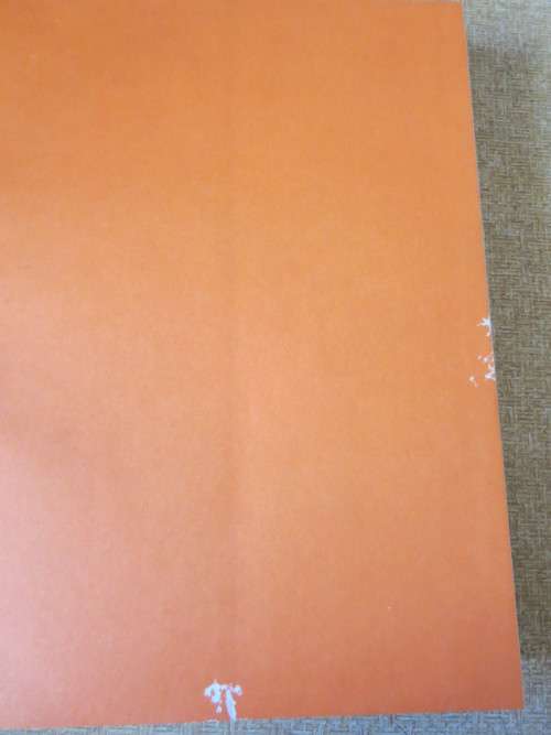 AFRICAN INSECT LIFE New revised and illustrated edition  by S. H. Skaife