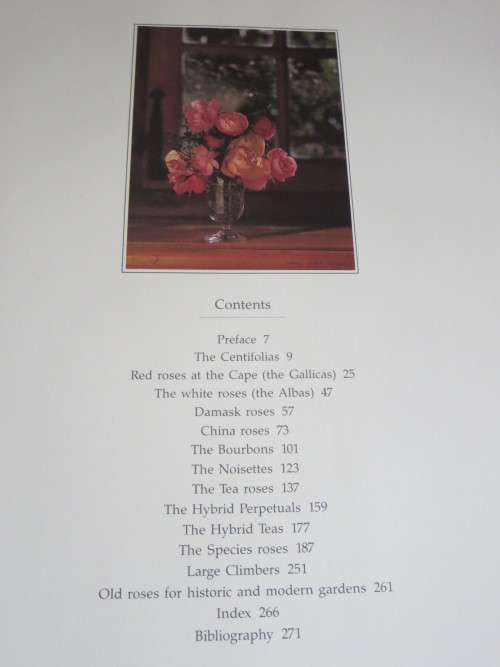 ROSES AT THE CAPE OF GOOD HOPE  by Gwen fagan