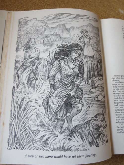 FRONTIER FLAMES  by F. C. Metrowich (Frontiersmen & settlers of SA especially Eastern Cape)