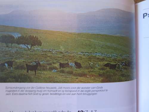 HANDBOEK BY DIE BYBEL  Saamgestel deur: David en Pat Alexander (Hersiene Uitgawe)