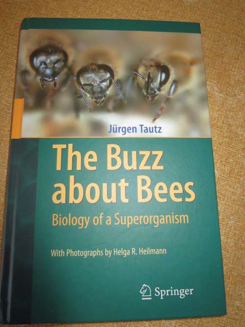 THE BUZZ ABOUT BEES  Biology of a Superorganism  by Jurgen Tautz