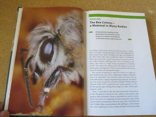 THE BUZZ ABOUT BEES  Biology of a Superorganism  by Jurgen Tautz