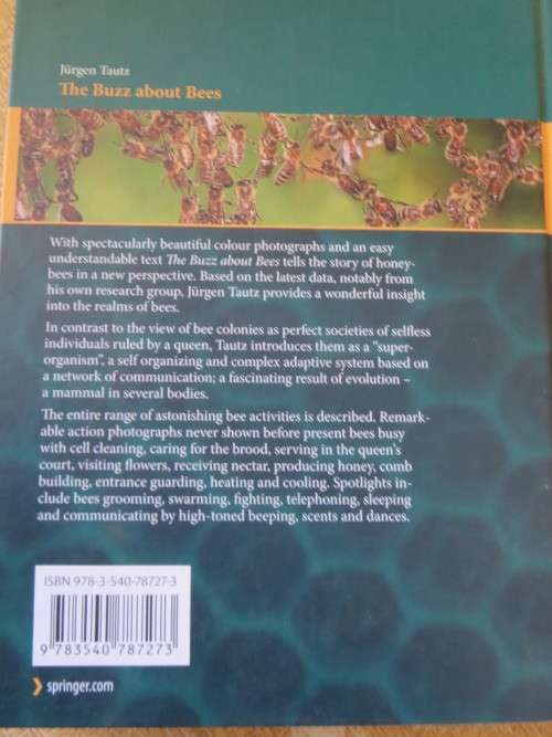 THE BUZZ ABOUT BEES  Biology of a Superorganism  by Jurgen Tautz