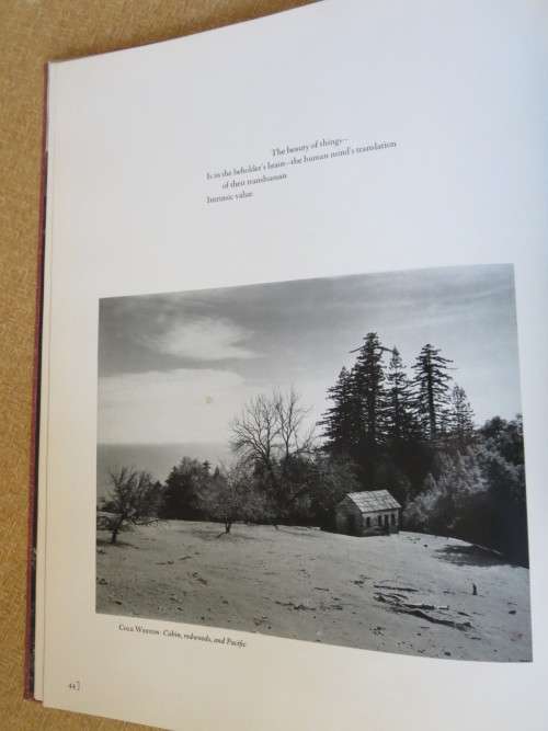 NOT MAN APART Photographs of the Big Sur Coast  by Dawid Brower