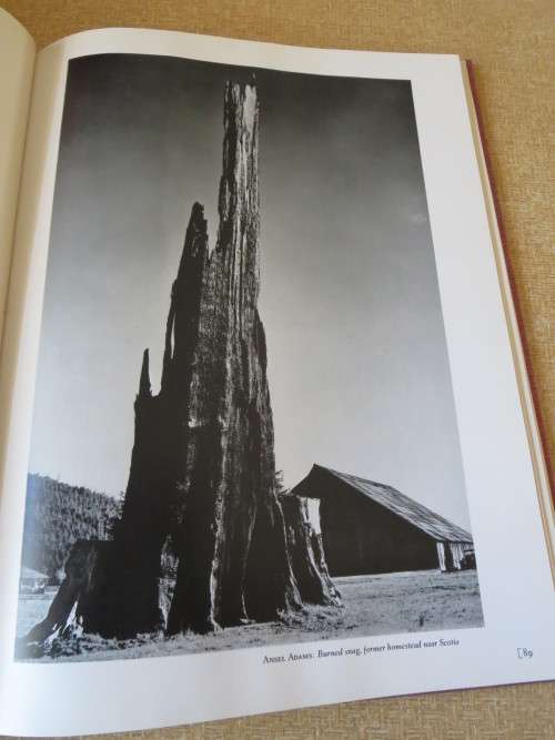 NOT MAN APART Photographs of the Big Sur Coast  by Dawid Brower