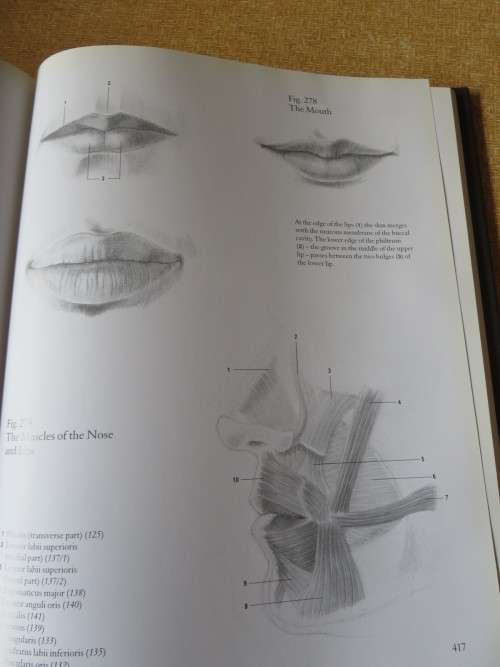 HUMAN ANATOMY FOR ARTISTS Text: Dr. György Fehér  Illustrations: András Szunyoghy
