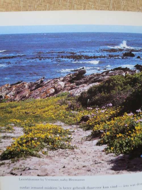 HOTTENTOTS-HOLLAND TOT HERMANUS Teks: Lee Burman &, Ann Bean Foto`s: Jose Burman