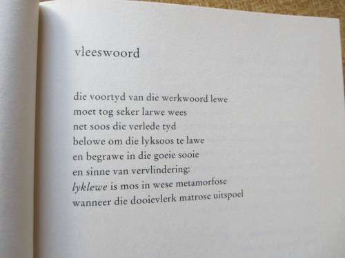 DIE NA-DOOD  deur Breyten Breytenbach