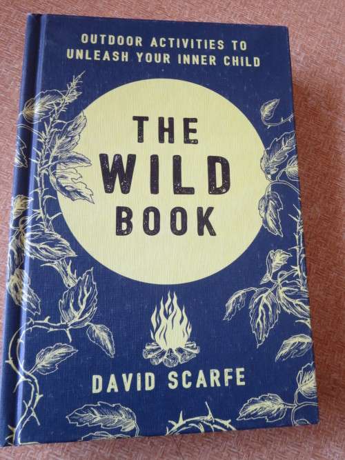 THE WILD BOOK  by David Scalfe  Outdoor activities to unleash your inner child