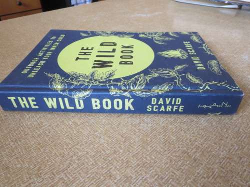 THE WILD BOOK  by David Scalfe  Outdoor activities to unleash your inner child