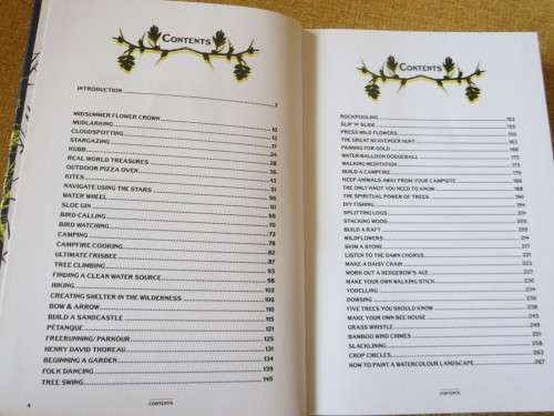 THE WILD BOOK  by David Scalfe  Outdoor activities to unleash your inner child