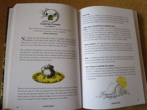 THE WILD BOOK  by David Scalfe  Outdoor activities to unleash your inner child