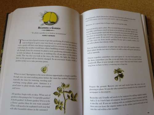 THE WILD BOOK  by David Scalfe  Outdoor activities to unleash your inner child