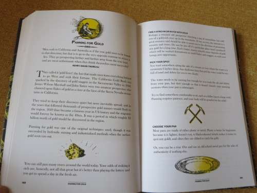 THE WILD BOOK  by David Scalfe  Outdoor activities to unleash your inner child
