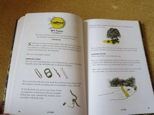 THE WILD BOOK  by David Scalfe  Outdoor activities to unleash your inner child