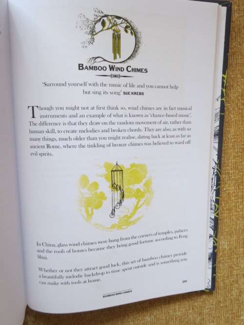 THE WILD BOOK  by David Scalfe  Outdoor activities to unleash your inner child