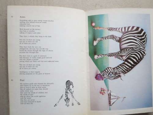 LAST LETTERS FROM THE WILDERNESS  by Ramsay Mackay  Illustrated by Norman Catherine