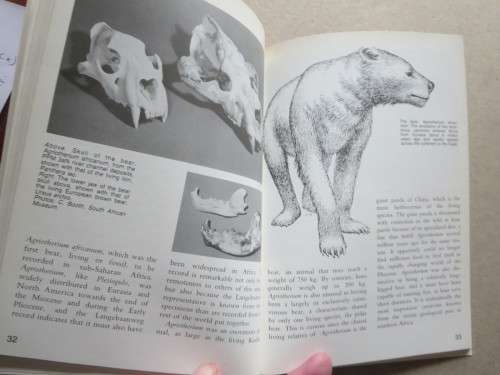 LANGEBAANWEG  A Record Of Past Life  by Q. B. Hendey  (Rich Fossil Site)
