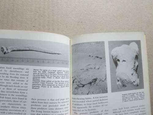 LANGEBAANWEG  A Record Of Past Life  by Q. B. Hendey  (Rich Fossil Site)