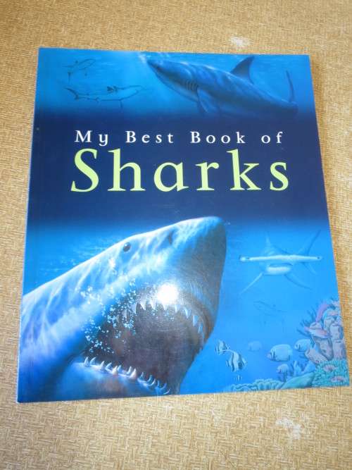 MY BEST BOOK OF SHARKS  by Claire Llewellyn