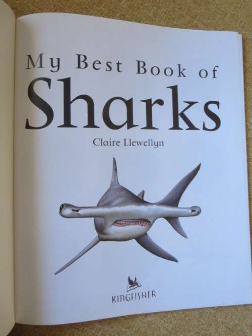 MY BEST BOOK OF SHARKS  by Claire Llewellyn